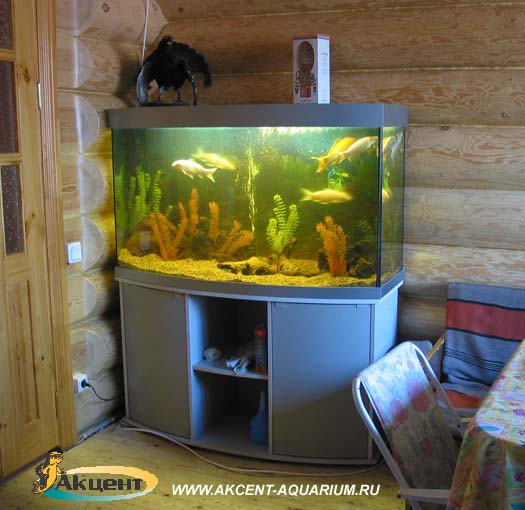 Акцент-аквариум,аквариум 350 литров с гнутым передним стеклом